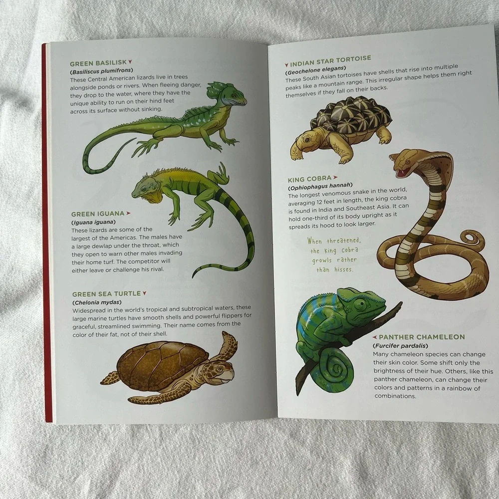 Snakes & Other Reptiles Temporary Tattoo Book - Multicolor Unused!